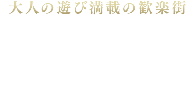 大人の遊び満載の歓楽街