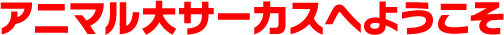 アニマル大サーカスへようこそ1