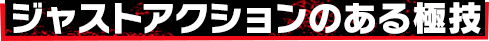 ジャストアクションのある極技