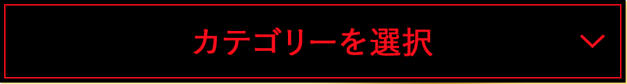 カテゴリーを選択